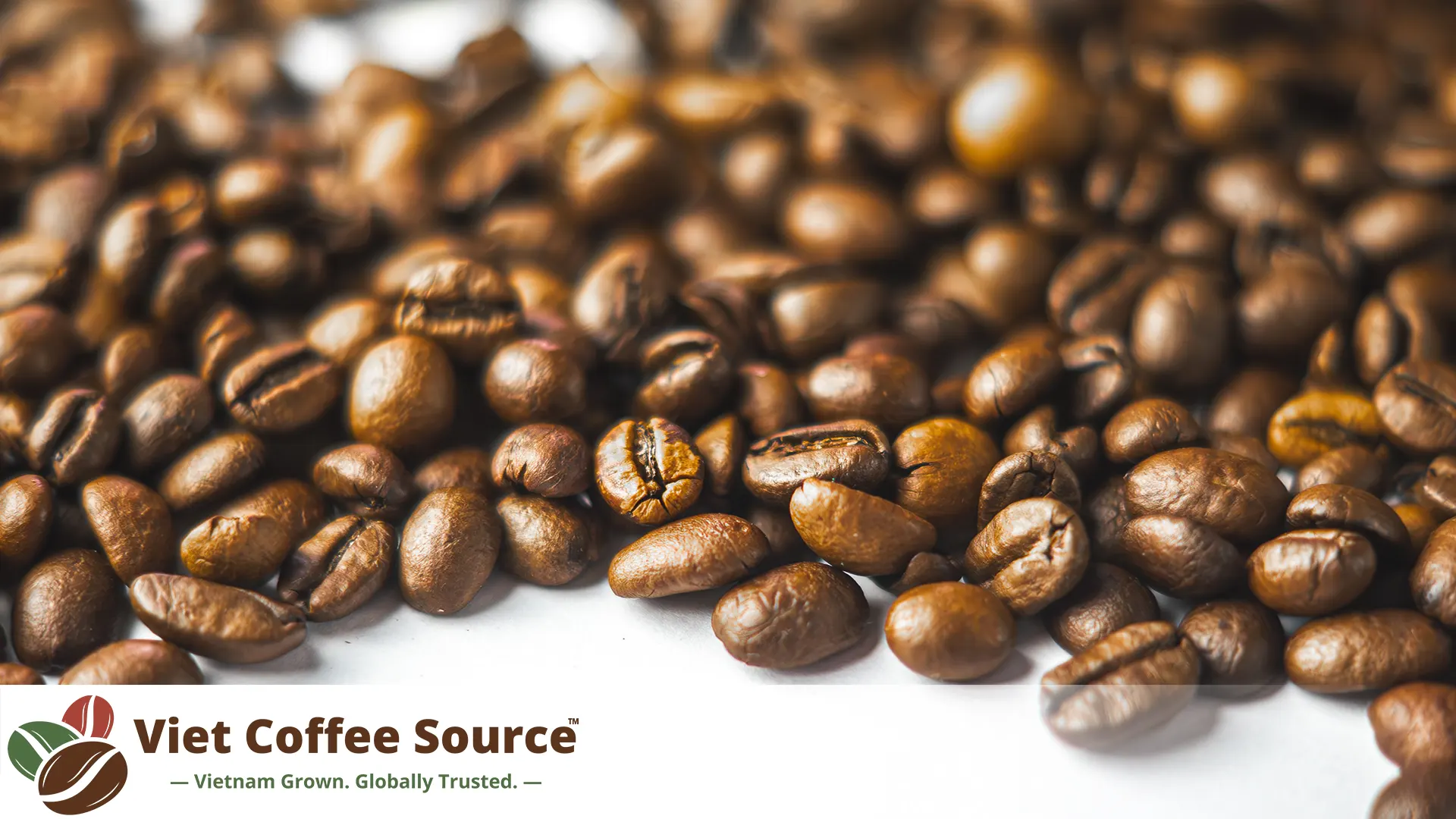 Rapporto sul mercato del caffè negli Stati Uniti: Consumi, importazioni e tendenze del settore